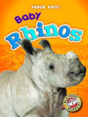 cover image of Baby Rhinos